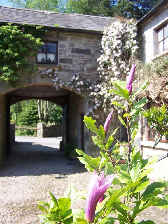 Ballinacourty House B&B Tipperary Buitenkant foto