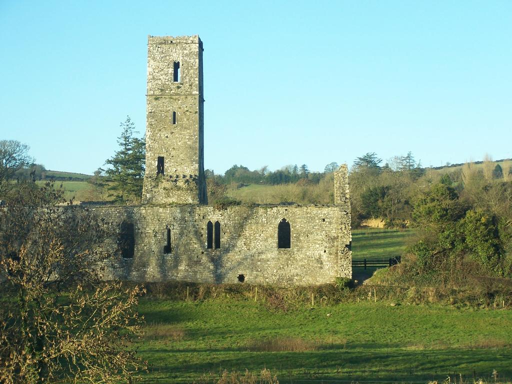 Ballinacourty House B&B Tipperary Buitenkant foto