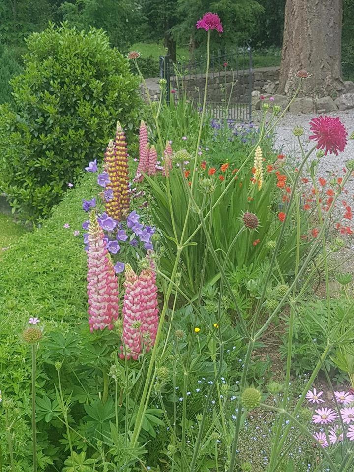 Ballinacourty House B&B Tipperary Buitenkant foto